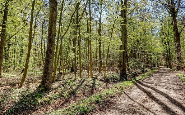 Hainholz, Foto: Stadt Pritzwalk, Lizenz: Stadt Pritzwalk