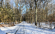 Hainholz im Winter, Foto: Stadt Pritzwalk, Lizenz: Stadt Pritzwalk