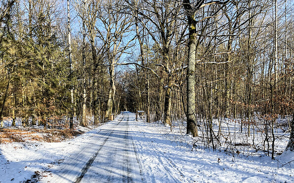 Hainholz im Winter, Foto: Stadt Pritzwalk, Lizenz: Stadt Pritzwalk