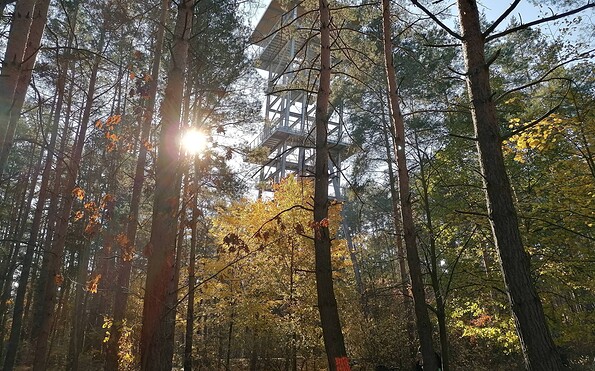 Der Aussichtsturm Senftenberger See ist ein lohnender Abstecher von der Wandertour, Foto: Katja Wersch, Lizenz: Tourismusverband Lausitzer Seenland e. V.