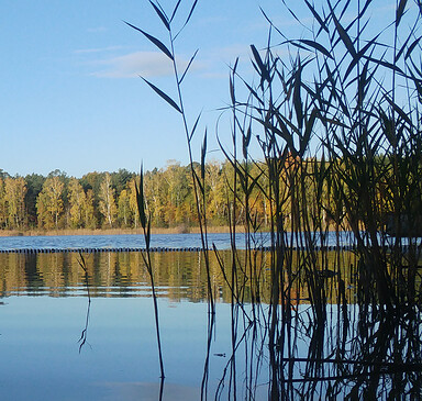 martas Gästehäuser Groß Väter See