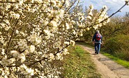 Hiker in the Höllengrund in spring, Foto: Sandra Fonarob, Lizenz: Tourismusverband Dahme-Seenland e.V.