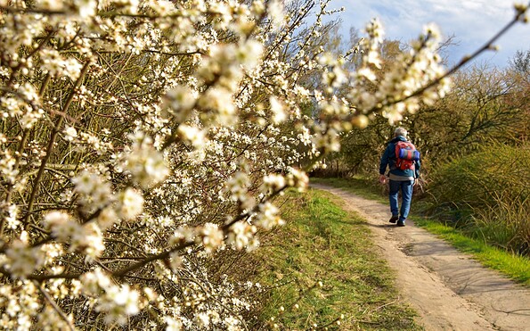 Hiker in the Höllengrund in spring, Foto: Sandra Fonarob, Lizenz: Tourismusverband Dahme-Seenland e.V.