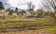 Flocks grazing in spring, Foto: Sandra Fonarob, Lizenz: Tourismusverband Dahme-Seenland e.V.
