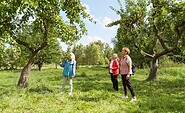 In the orchard meadow, Foto: Steffen Lehmann, Lizenz: TMB Tourismus-Marketing Brandenburg GmbH
