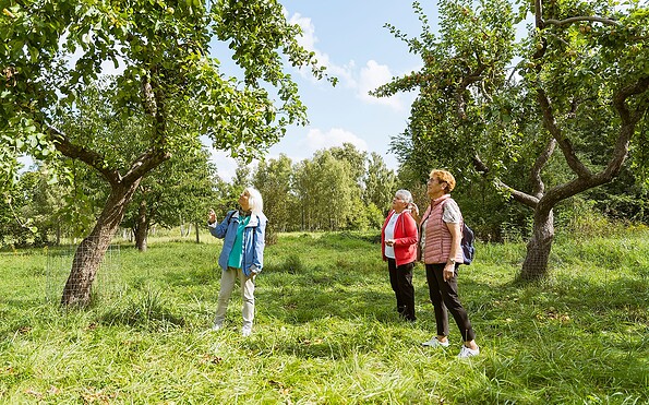 In the orchard meadow, Foto: Steffen Lehmann, Lizenz: TMB Tourismus-Marketing Brandenburg GmbH