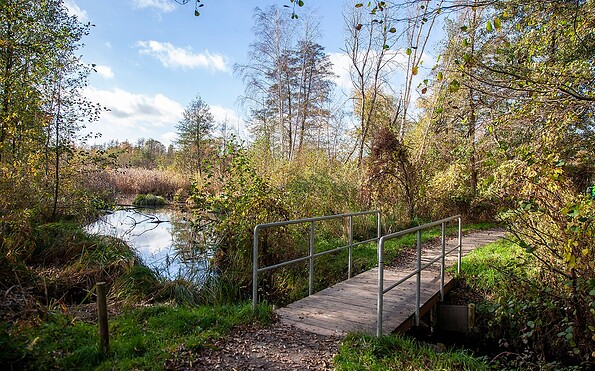 Path along the Dahme, Foto: Michael Zalewski, Lizenz: LK Dahme-Spreewald