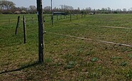 Horse paddock, Foto: Bertram Weisshaar