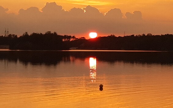 Sonnenuntergang am Waldbad Zeischa, Foto: Heiko Lorenz, Lizenz: Heiko Lorenz