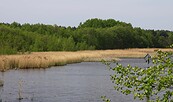 At the Dahme River, Foto: Petra Förster, Lizenz: Tourismusverband Dahme-Seenland e.V.