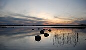Seddiner See, Foto: Hoffmann, Lizenz:  TMB-Fotoarchiv