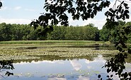 pons near Buchwäldchen-Muckar, Foto: Claudia Donat, Lizenz: Naturpark Niederlausitzer Landrücken