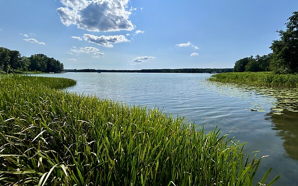 Blick auf den Scharmützelsee, Foto: Nadine Weber, Lizenz: Seenland Oder-Spree
