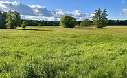 Wierichwiesen Bad Saarow, Foto: Nadine Weber, Lizenz: Seenland Oder-Spree
