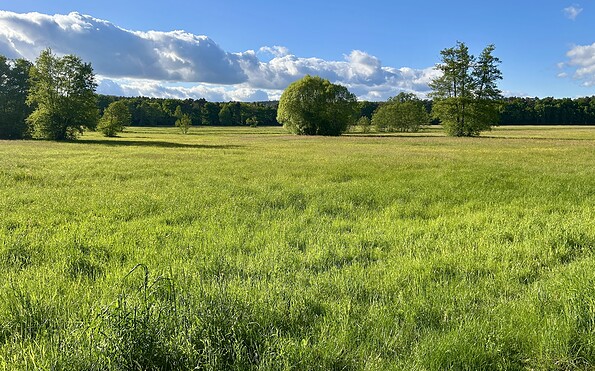 Wierichwiesen Bad Saarow, Foto: Nadine Weber, Lizenz: Seenland Oder-Spree