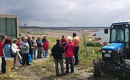 Führung an den IBA-Terrassen in Großräschen, Foto: iba-tours