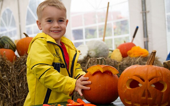Pumpkin carving at the Spargel- und Erlebnishof Klaistow, picture: Buschmann &amp; Winkelmann GmbH, Foto: Maika Ziehl
