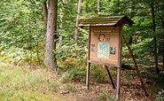 Bernauer Waldlehrpfad, Foto: Michél Schmidt, Lizenz: BeSt Bernauer Stadtmarketing GmbH
