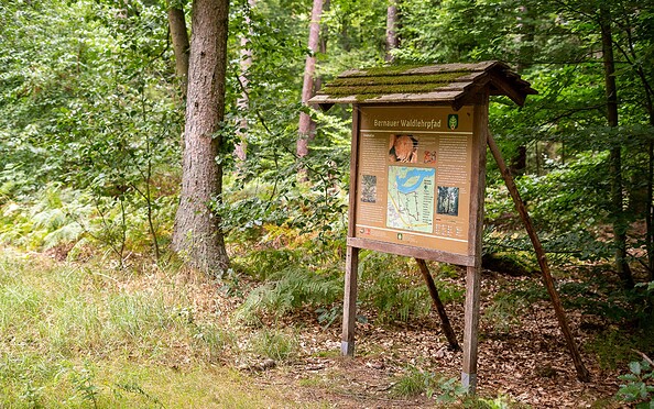Bernauer Waldlehrpfad, Foto: Michél Schmidt, Lizenz: BeSt Bernauer Stadtmarketing GmbH