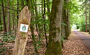 Bernauer Waldlehrpfad, Foto: Michél Schmidt, Lizenz: BeSt Bernauer Stadtmarketing GmbH