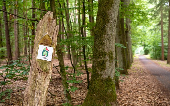Bernauer Waldlehrpfad, Foto: Michél Schmidt, Lizenz: BeSt Bernauer Stadtmarketing GmbH