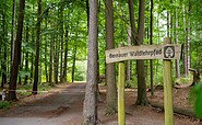 Bernauer Waldlehrpfad, Foto: Michél Schmidt, Lizenz: BeSt Bernauer Stadtmarketing GmbH
