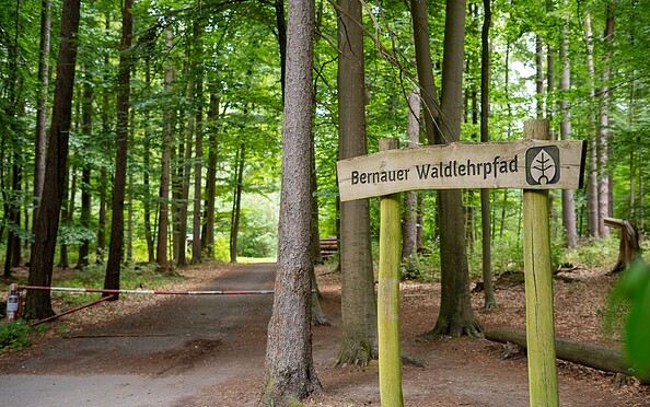 Bernauer Waldlehrpfad, Foto: Michél Schmidt, Lizenz: BeSt Bernauer Stadtmarketing GmbH