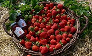 Erdbeeren aus Klaistow, Foto: Buschmann &amp; Winkelmann GmbH, Foto: Lukas Kupke