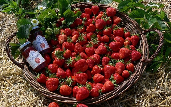 Erdbeeren aus Klaistow, Foto: Buschmann &amp; Winkelmann GmbH, Foto: Lukas Kupke