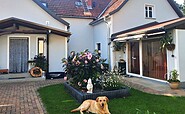 Hund des Gastgebers auf dem Grundstück, Foto: Kathrin Reinelt, Lizenz: Familie Reinelt GB der Ferienwohnung Reingehuscht