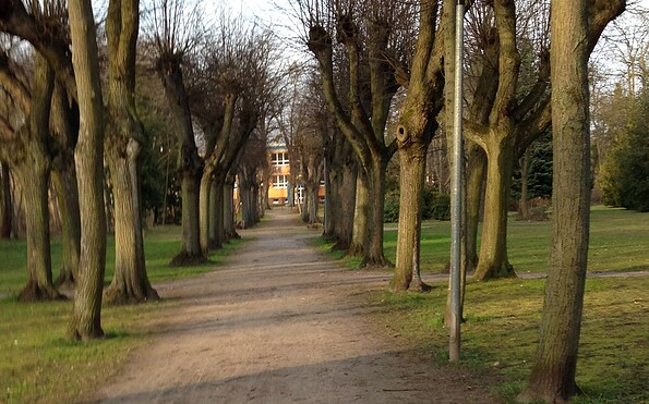 Kurpark