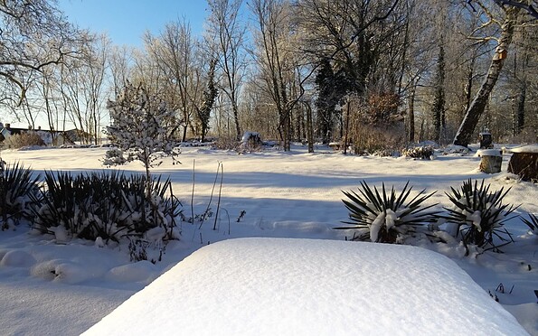 Der Garten in der Wintersonne
