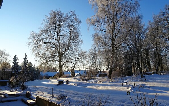 Blick in den weißen Garten