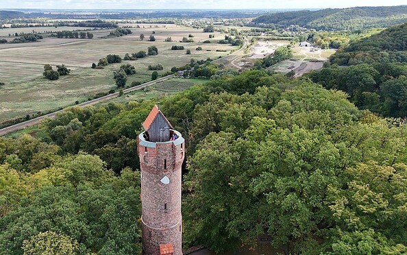 Blick auf den Bismarckturm, Foto: Seenland Oder-Spree, Lizenz: Seenland Oder-Spree