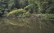 Gipfelstürmer Tour durch den Wald, Foto: Seenland Oder-Spree, Lizenz: Seenland Oder-Spree