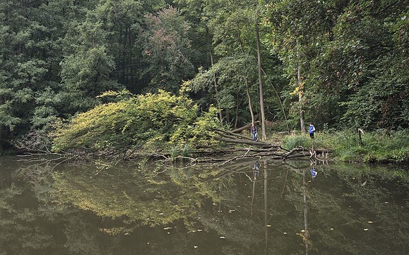 Gipfelstürmer Tour durch den Wald, Foto: Seenland Oder-Spree, Lizenz: Seenland Oder-Spree