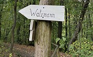 Auf dem Turmrundweg, Foto: Seenland Oder-Spree, Lizenz: Seenland Oder-Spree