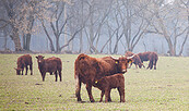 Landwirtschaft und Fischerei Mario Fischer in Niewisch, Foto: Julia Otto