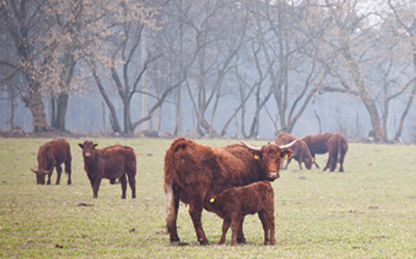 Landwirtschaft und Fischerei Mario Fischer in Niewisch, Foto: Julia Otto