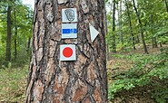 Logo Gipfelstürmer-Tour, Foto: Seenland Oder-Spree, Lizenz: Seenland Oder-Spree