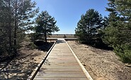 Panoramablick Steg Lieberoser Wüste am Heideradweg, Foto: Rainer Wilkens, Lizenz: Naturwelt Lieberoser Heide GmbH
