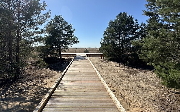 Panoramablick Steg Lieberoser Wüste am Heideradweg, Foto: Rainer Wilkens, Lizenz: Naturwelt Lieberoser Heide GmbH