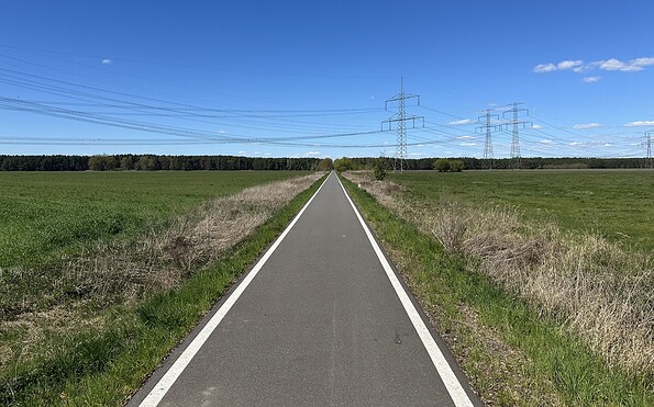 Heideradweg Startpunkt Turnow Preilack, Foto: Rainer Wilkens, Lizenz: Naturwelt Lieberoser Heide GmbH