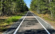 Der Heideradweg, Foto: Rainer Wilkens, Lizenz: Naturwelt Lieberoser Heide GmbH