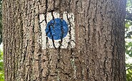 Logo 66-Seen-Wanderweg, Foto: Seenland Oder-Spree, Lizenz: Seenland Oder-Spree