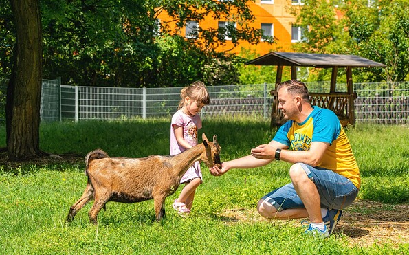 Saisonaler Streichelzoo, Foto: AHORN Hotels &amp; Resorts, Lizenz: AHORN Hotels &amp; Resorts