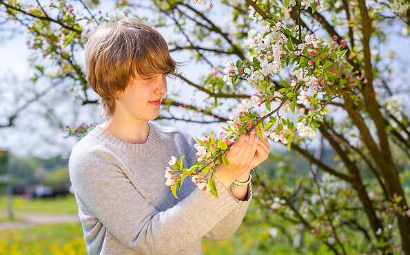 Frühlingsblüte Pomo-Garten Döllingen, Foto: LKEE Andreas Franke, Lizenz: LKEE Andreas Franke