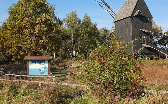 Bochwindmühle am Naturlehrpfad am Gülper See, Foto: Claudia Hesse, Lizenz: Natur- und Sternenpark Westhavelland
