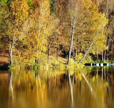 Am Köthener Heidesee, Foto: Juliane Frank, Lizenz: Tourismusverband Dahme-Seenland e.V.
