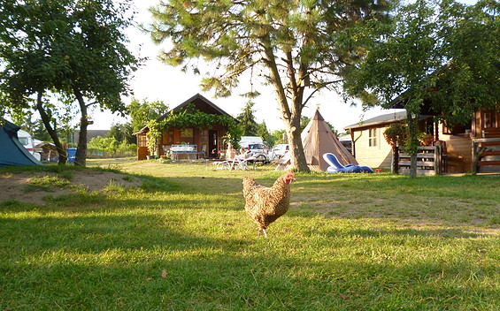 Waterway Rest Area at Kanucamp Altfriesack